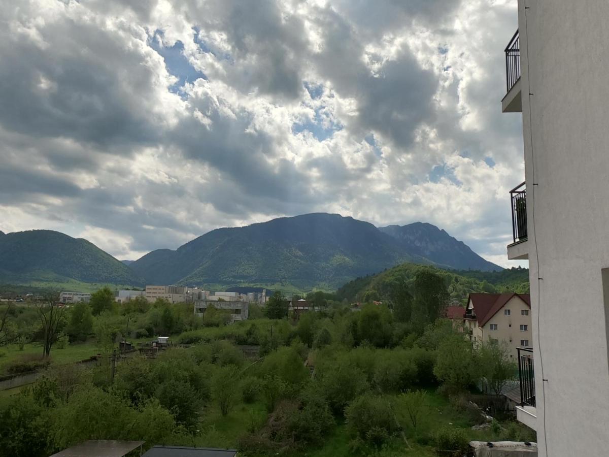 Panoramic Residence Zarnesti Exterior photo